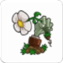 植物大战僵尸胆小菇之梦版